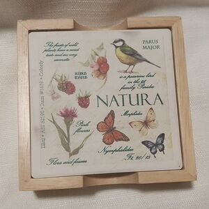 Natura Anthropologie Butterfly Botanical Cork Back Coaster Set (4) NWB